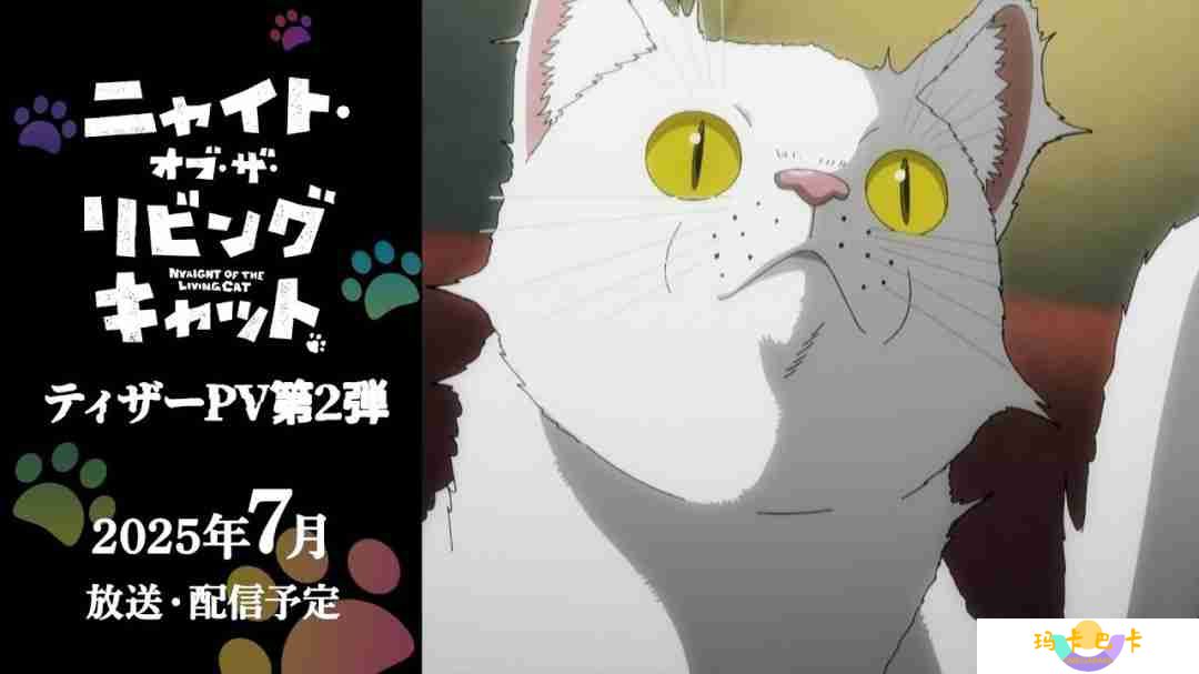 喵趣横生！《活尸猫之夜》动画化倒计时，猫咪统治世界的奇妙冒险即将开启！