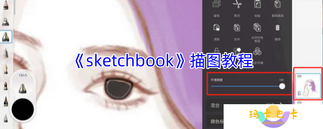 sketchbook怎么描图-sketchbook描图教程